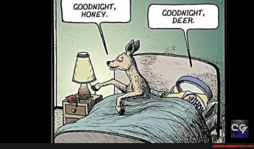 GOODNIGHT, HONEY. GOODNIGHT, DEER. - America’s best pics and videos