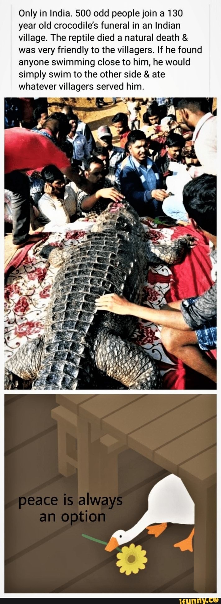 Only in India. 500 odd people join a 130
year old crocodile's funeral in an Indian
village. The reptile died a natural death was very friendly to the villagers. If he found
anyone swimming close to him, he would
simply swim to the other side ate
whatever villagers served him.