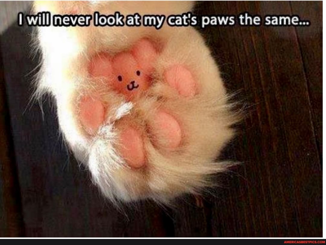 will paws the same...