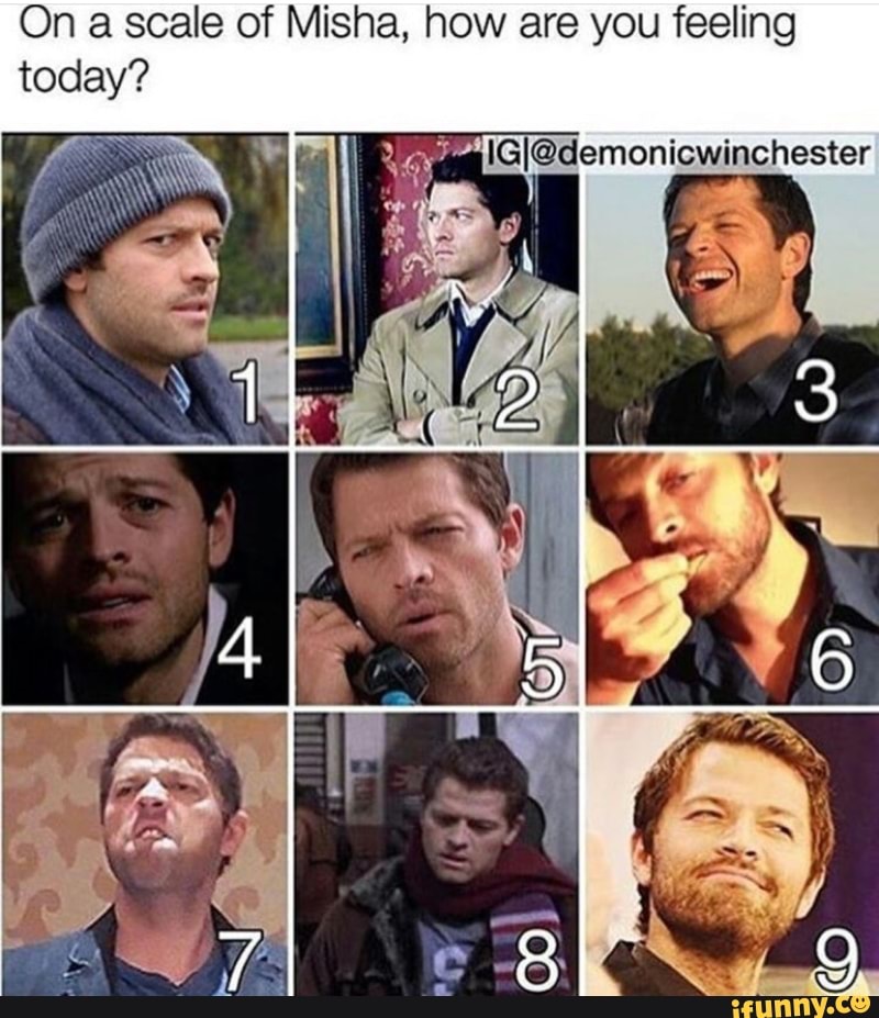 On A Scale Of Misha How Are You Feeling Ifunny