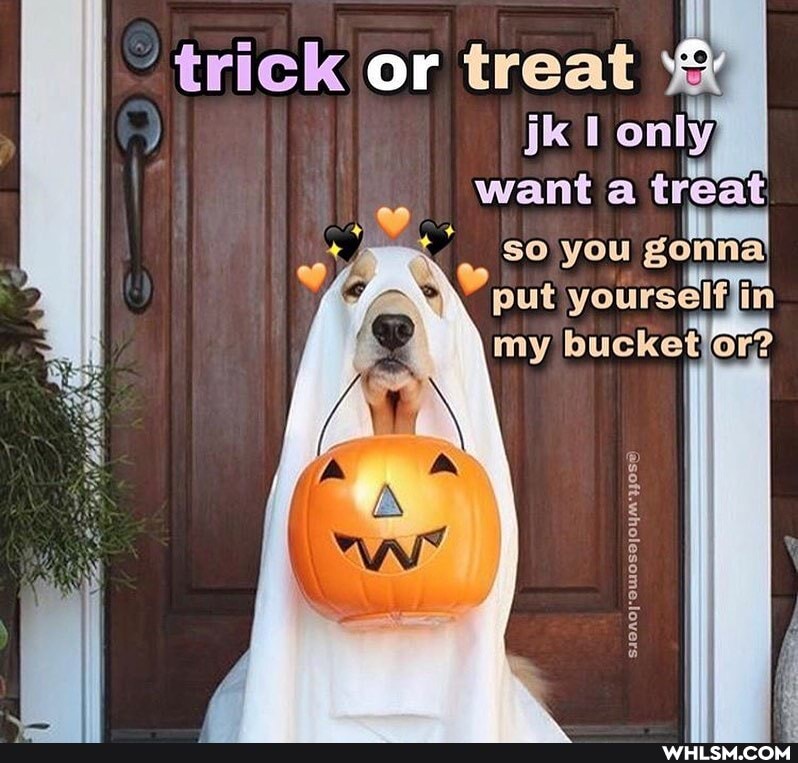 -trick or treat jk only
want a treat so you put yourselfin my bucketjor?
S1no' Oulosejoym'H0S)