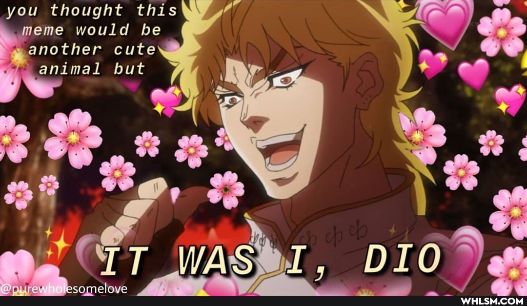 you thought this meme would be another cute animal but
wasder ,