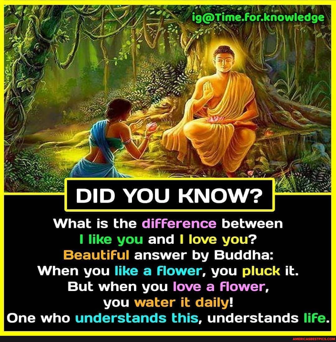 DID YOU KNOW? What is the difference between like you and love you