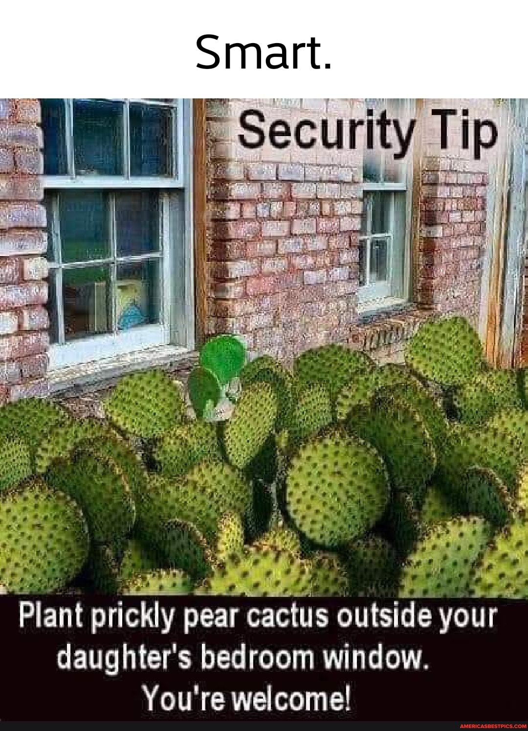 Tip
Plant prickly pear cactus outside your daughter's bedroom window.
You're welcome!