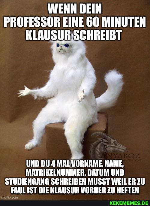 WENN DEIN PROFESSOR EINE 60 MINUTEN KLAUSUR SCHREIBT
UND DU 4 MAL VORNAME, NAME,
MATRIKELNUMMER, DATUM UND STUDIENGANG SCHREIBEN MUSST WEIL ER ZU IST DIE KLAUSUR VORHER ZU HEFTEN