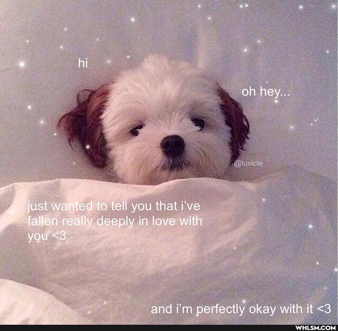 hi
oh hey...
just wanted to tell you that i've fallen really deeply in love with you <3
and perfectly okay with it <3