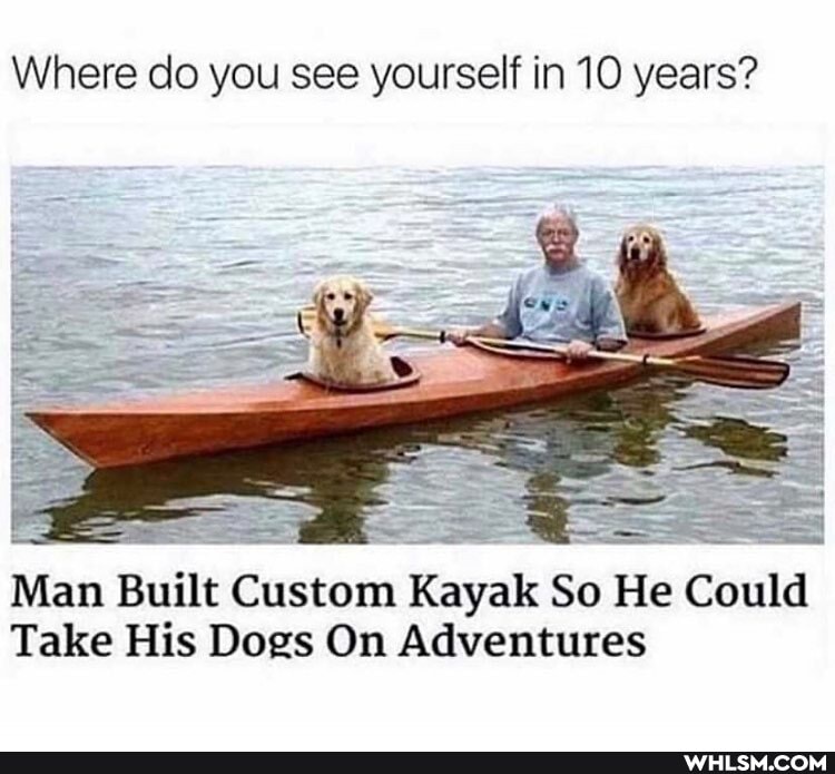 Where do you see yourself in 10 years?
Man Built Custom Kayak So He Could
Take His Dogs On Adventures