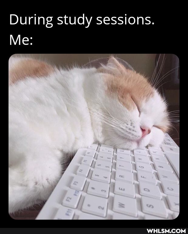 During study sessions.
Me: