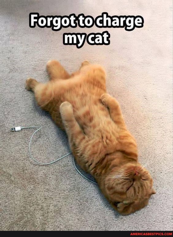 Forgot to charge mycat