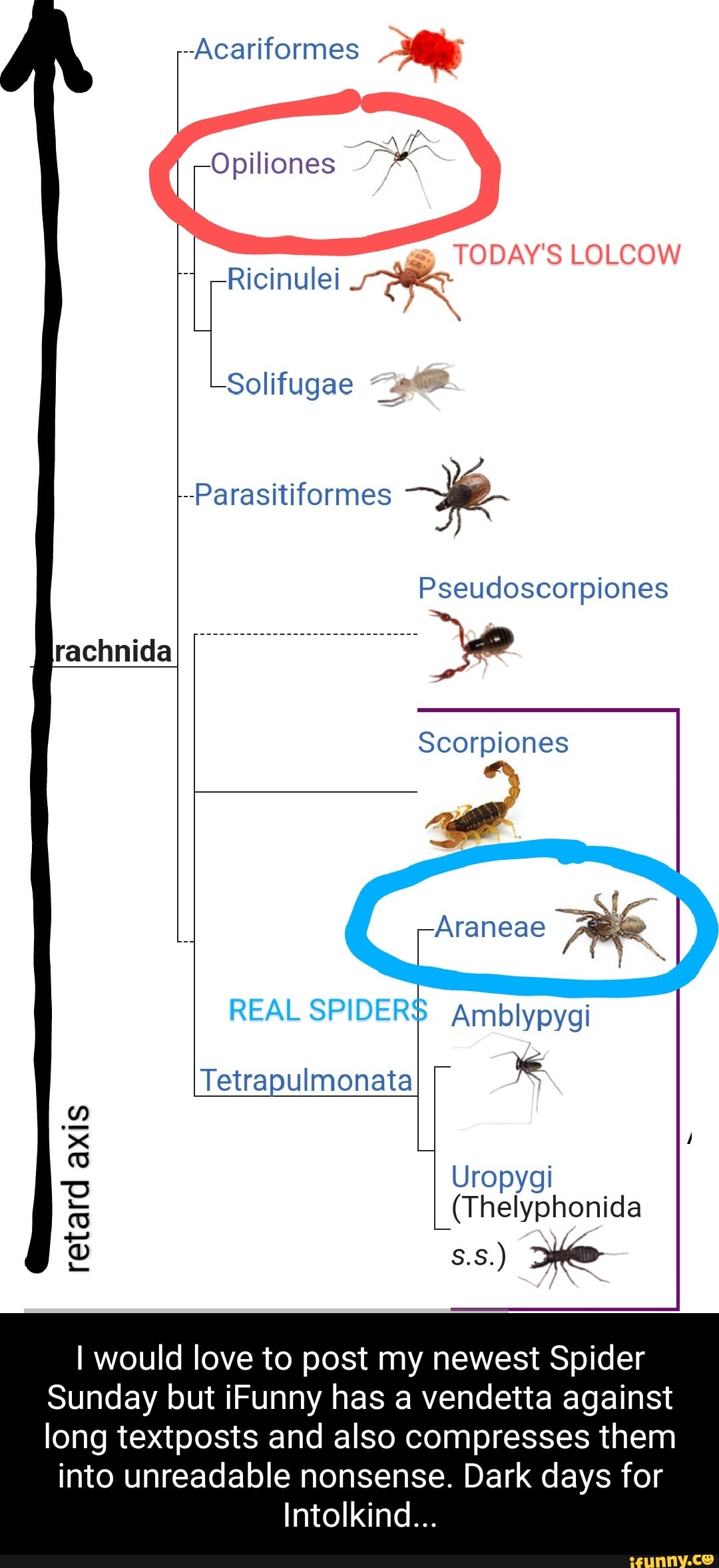 Parasitiformes memes. Best Collection of funny Parasitiformes pictures ...