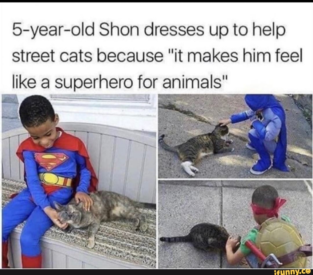 5-year-old Shon dresses up to help
street cats because "it makes him feel
like a superhero for animals"
a an
E
AS