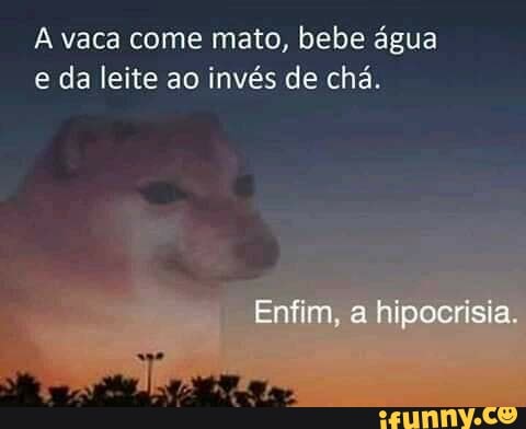 A vaca come mato, bebe água e da leite ao invés de chá.
