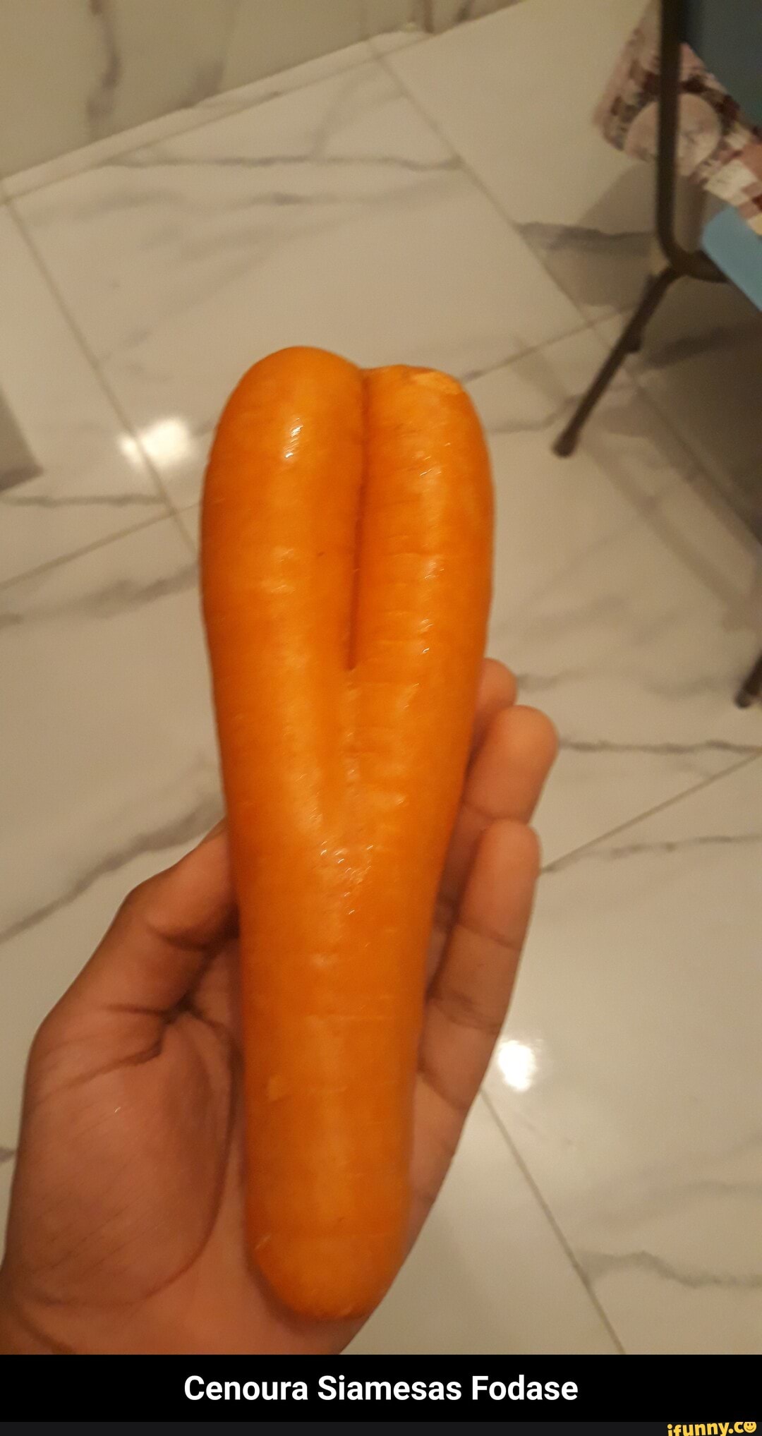 Cenoura Siamesas Fodase - Cenoura Siamesas Fodase