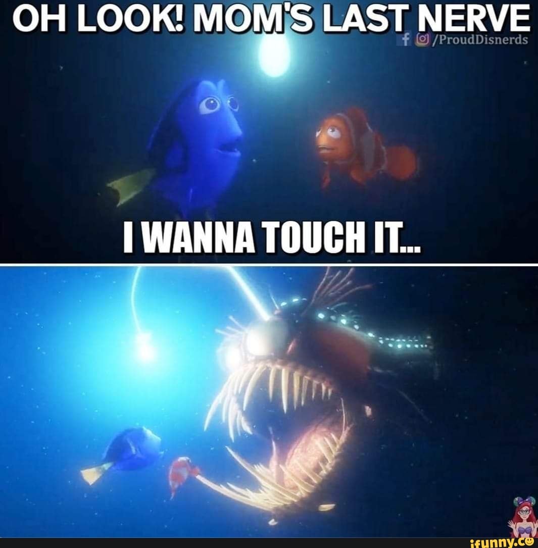 OH LOOK! MOMS LAST NERVE
WANNA TOUCH IT.