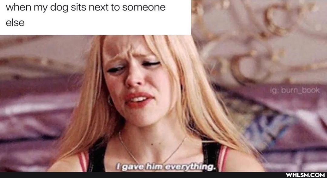 when my dog sits next to someone else