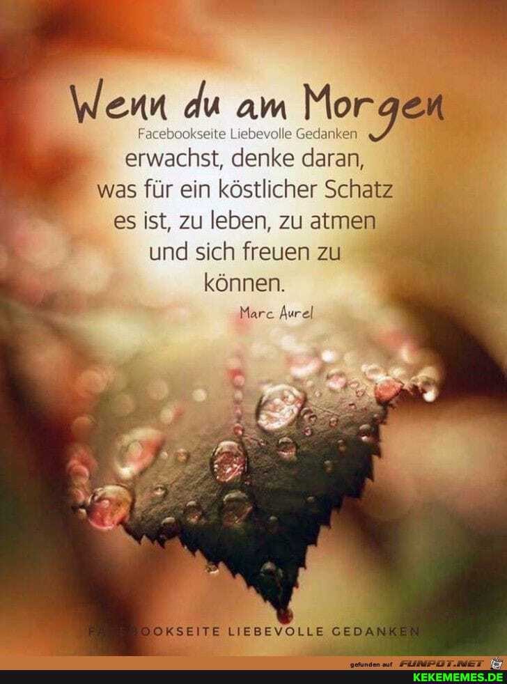 Wenn du Facebookseite am Liebevolle Gedanken gem
Facebookseite Liebevolle Gedanken erwachst, denke daran, was für ein köstlicher Schatz es ist, zu leben, zu atmen und sich freuen zu können.
Marc Aurel
E LIEBEVOLLE GE
