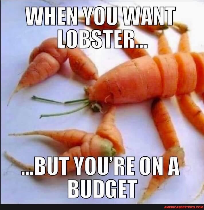 WHEN
LOBSTER vF
._BUT YOURE ONA BUDGET
