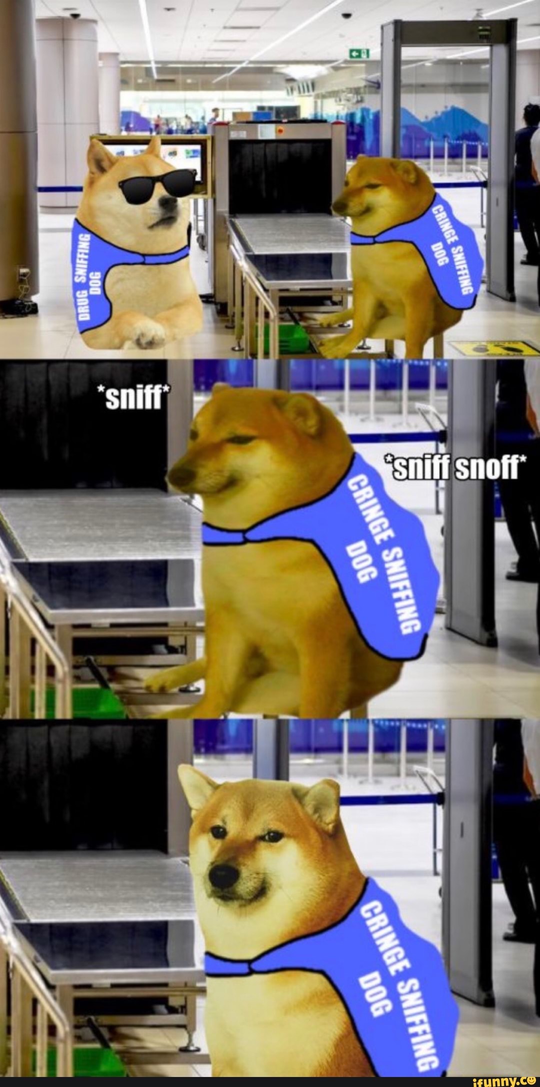 "Sniff snoff
~witt