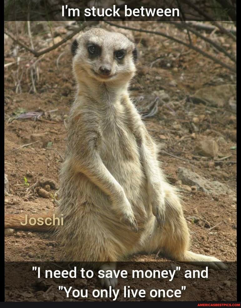 I'm stuck between
"I need to save money" and
"You only live once"