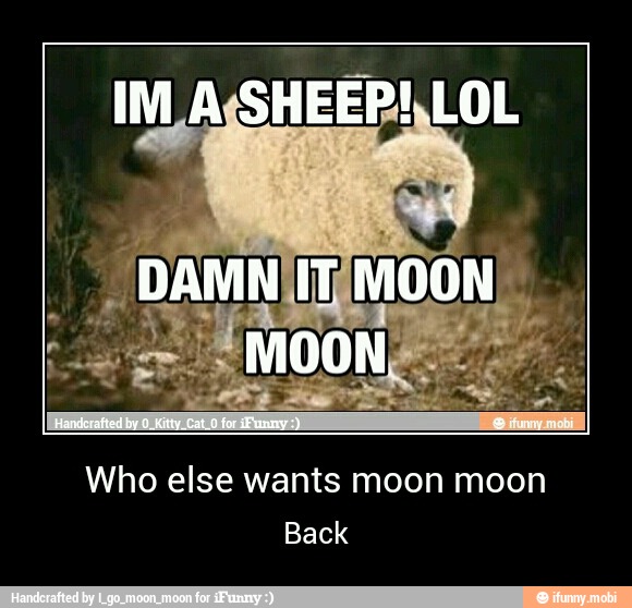 Who else wants moon moon
Back - Who else wants moon moon
Back