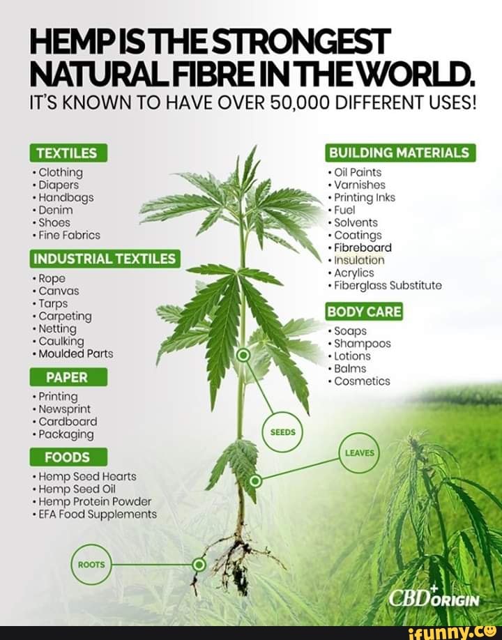 HEMPIS THE STRONGEST NATURAL FIBRE INTHE WORLD. IT'S KNOWN TO HAVE OVER ...