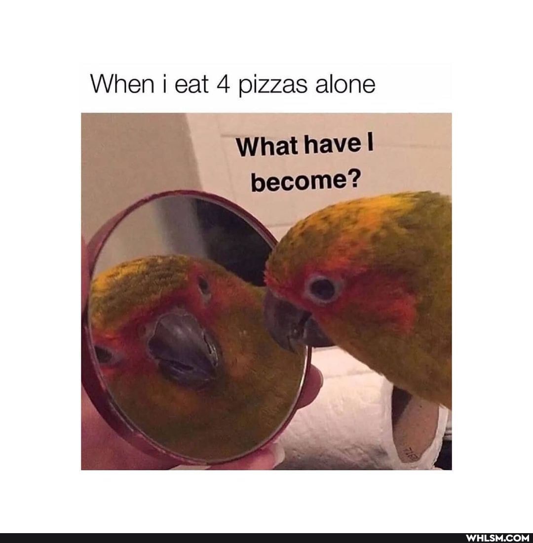 When eat 4 pizzas alone
What have I become?