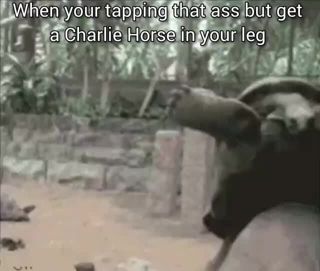 Tapping That Ass