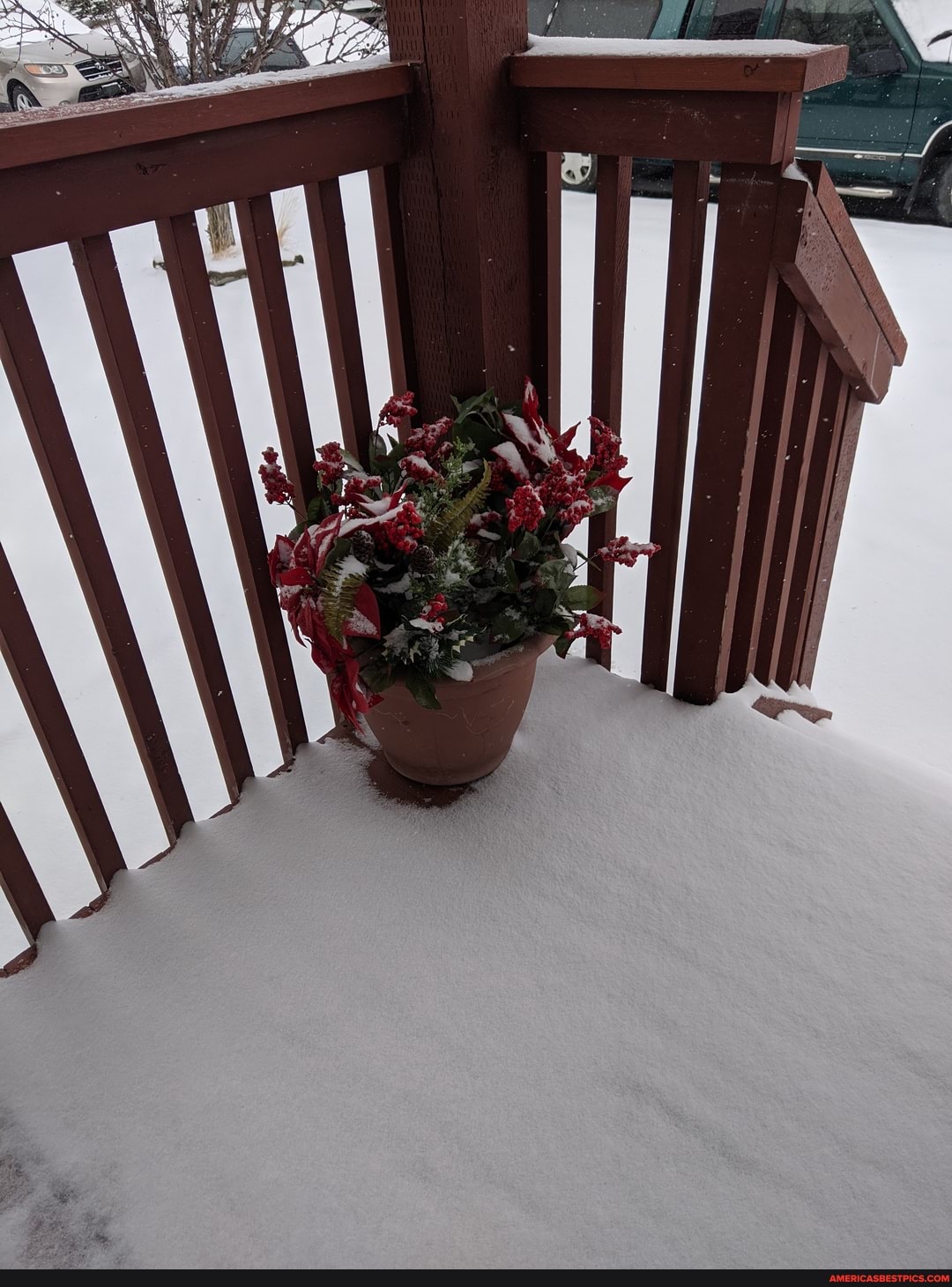 Here is a picture of some fake flowers and yes it snowed today. Because