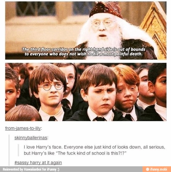 from-james-to-lily:
skinnyballerinas:
I love Harry's face. Everyone else just kind of looks down, all serious,
but Ha 's like "The fuck kind of school is this?!?"
#sassy harry at it again
