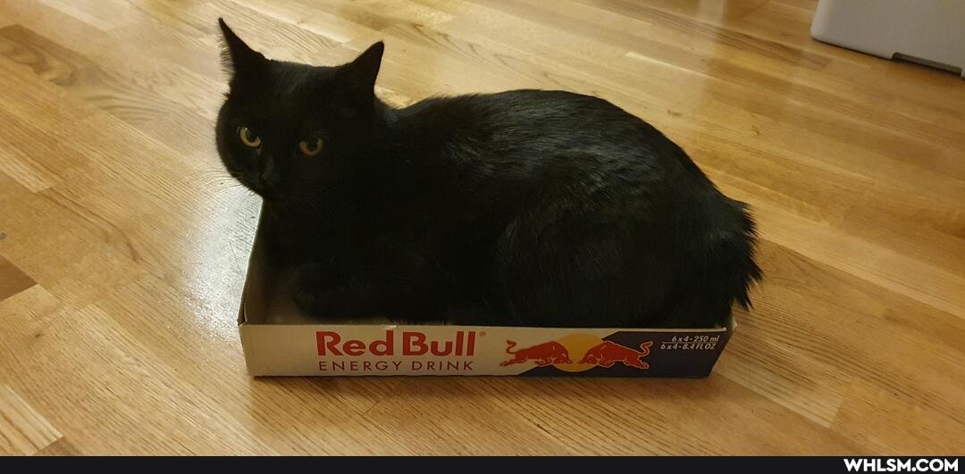 ENERGY DRINK
Red
