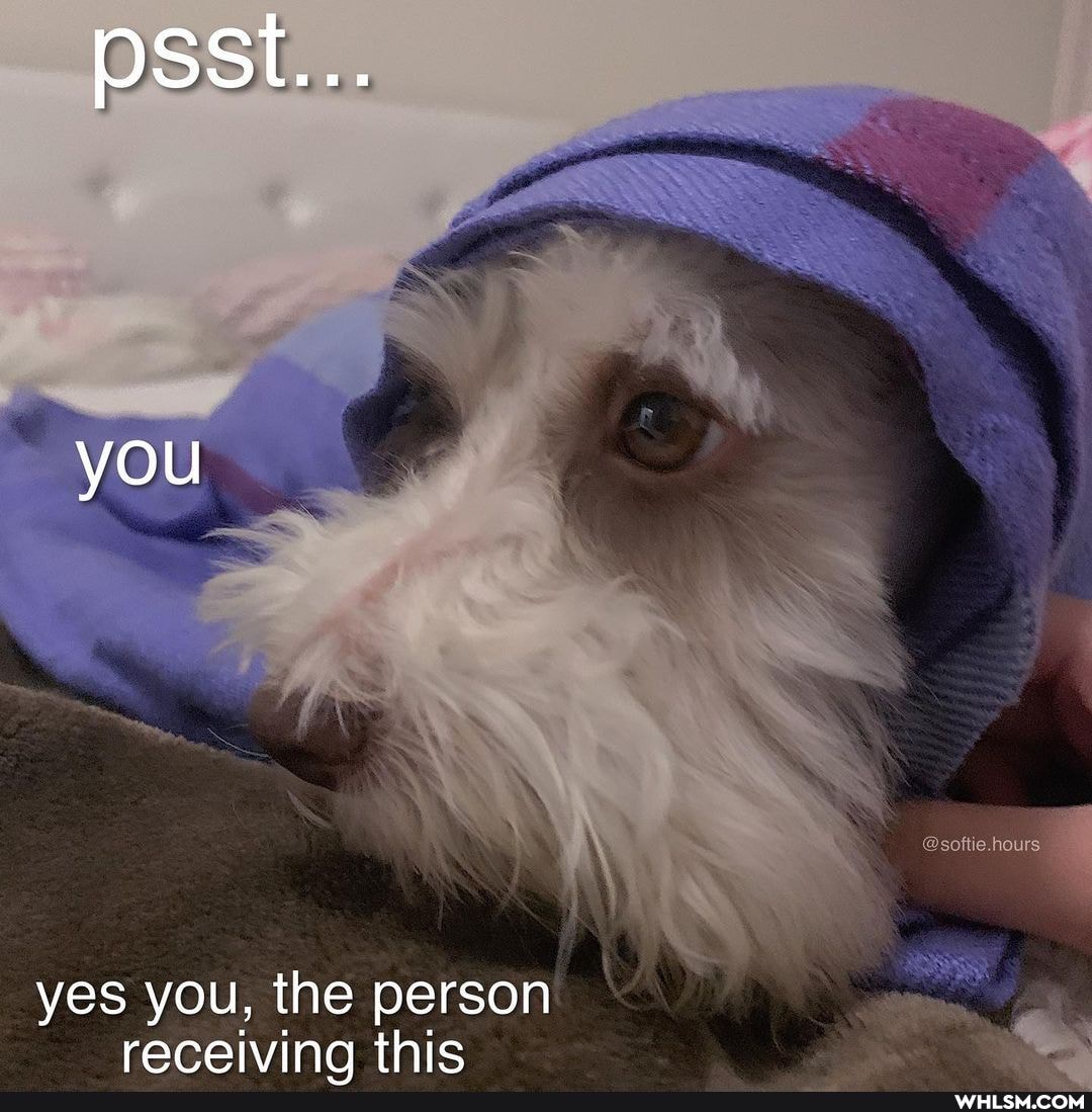 psst...
you
@softie.hours
yes you, the person receiving this