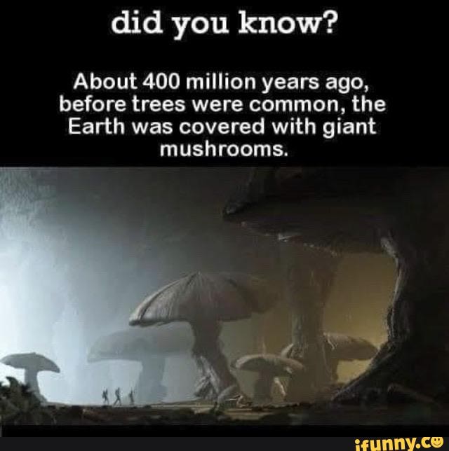 Did you know? About 400 million years ago, before trees were common ...