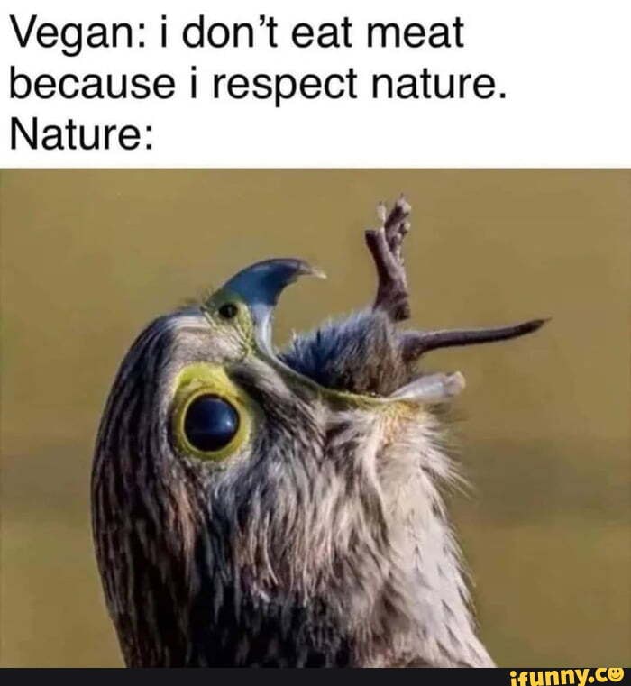 Vegan: i don't eat meat because i respect nature.
Nature: