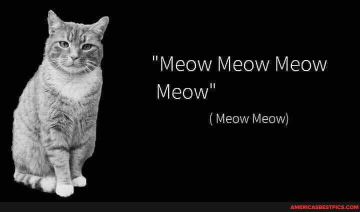 "Meow Meow Meow
Meow"
(Meow Meow)