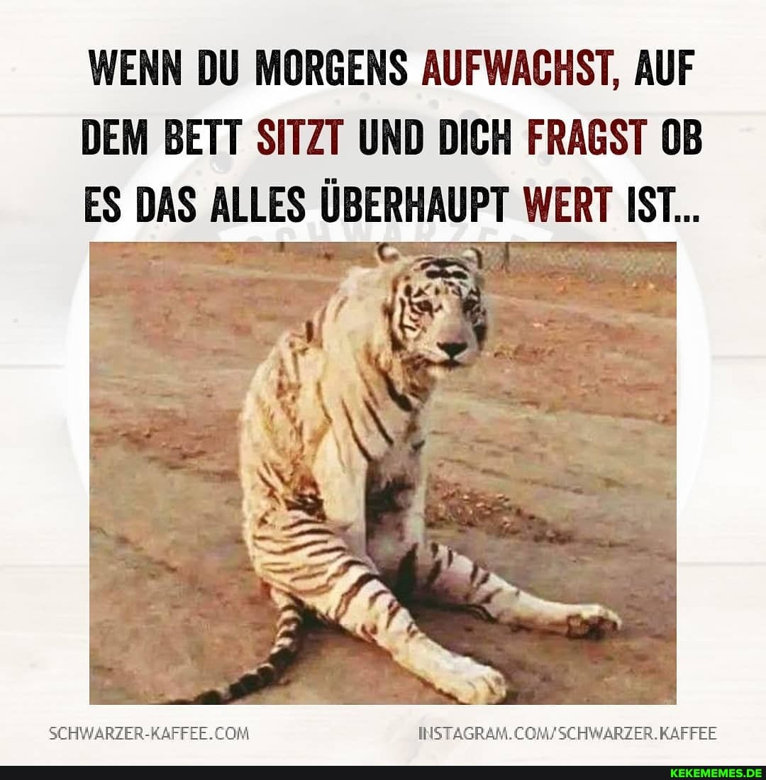 WENN DU MORGENS AUFWACHST, AUF DEM BETT SITZT UND DICH FRAGST OB ES DAS ALLES ÜBERHAUPT WERT IST...
SCHWARZER-RAFFEE.CON
KAFFEE