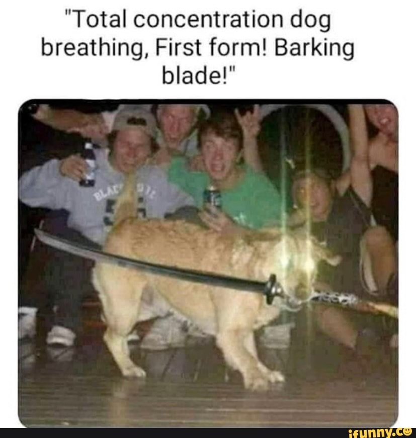 "Total concentration dog breathing, First form! Barking blade!"