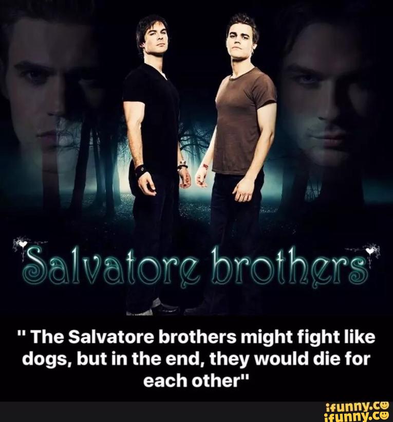 " The Salvatore brothers might fight like
dogs, but in the end, they would die for
each other"