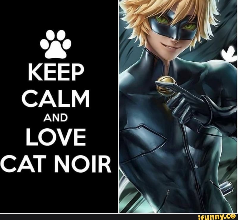 Keep Calm And Love Cat Noir