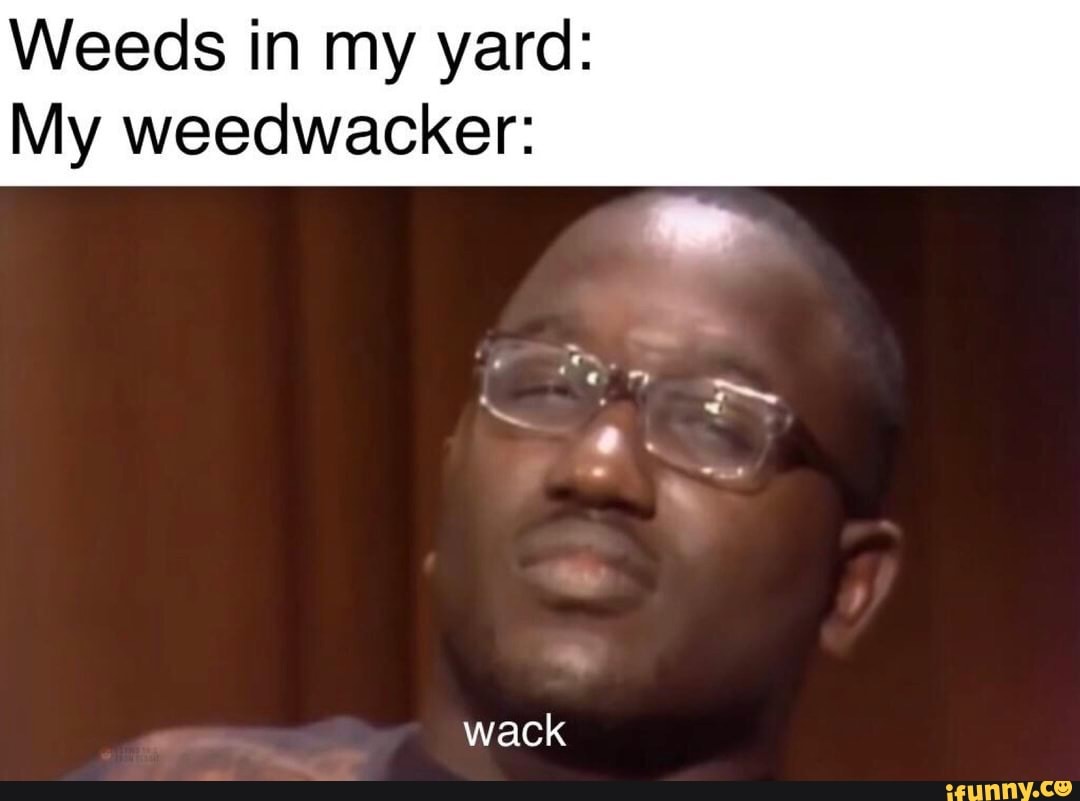 Weeds in my yard: My weedwacker: wack - iFunny Brazil