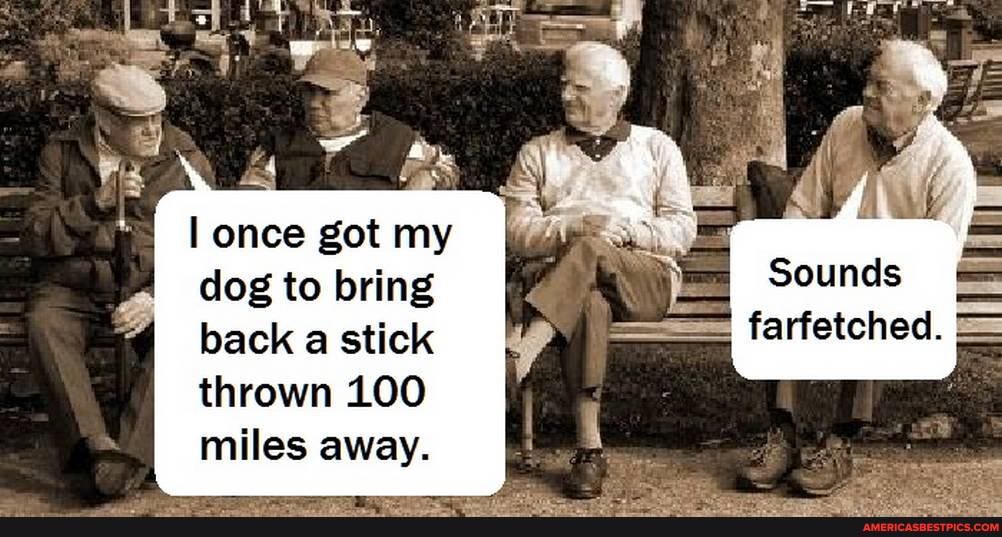 be 4 AS
once got my dog to bring back a stick thrown 100 miles away.
Sounds
farfetched.