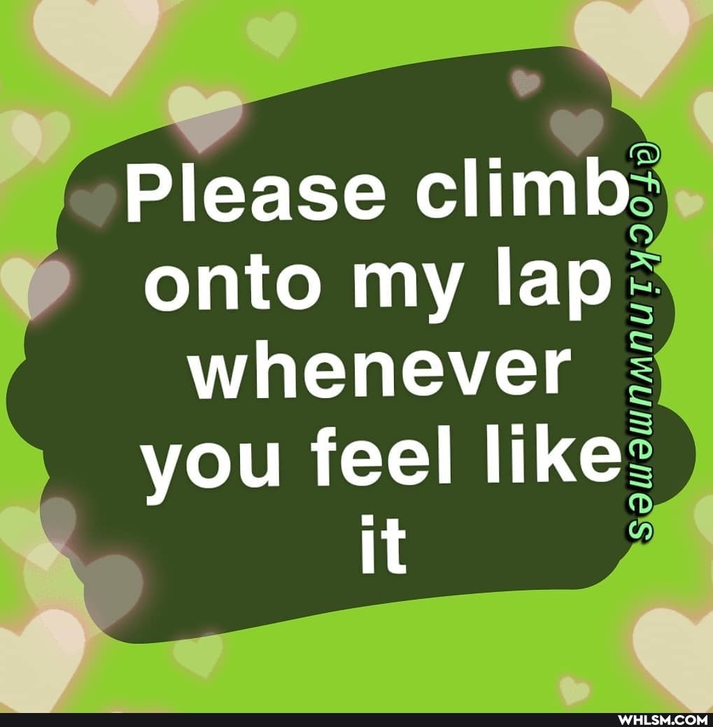 Please climb onto my lap: whenever you feel like
SO it
SO WIwNMN