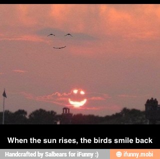 When the sun rises, the birds smile back - When the sun rises, the birds smile back
