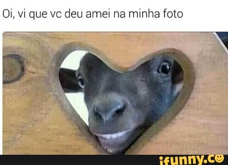 Oi, vi que vc deu amei na minha foto