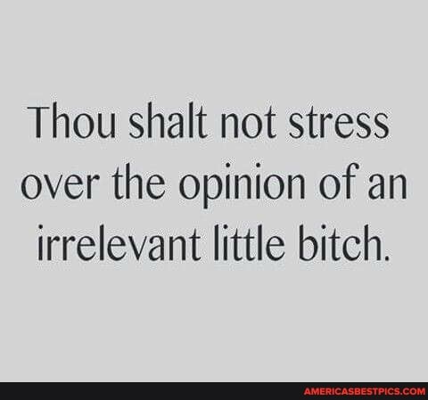 Thou shalt not stress over the opinion of an irrelevant little bitch.