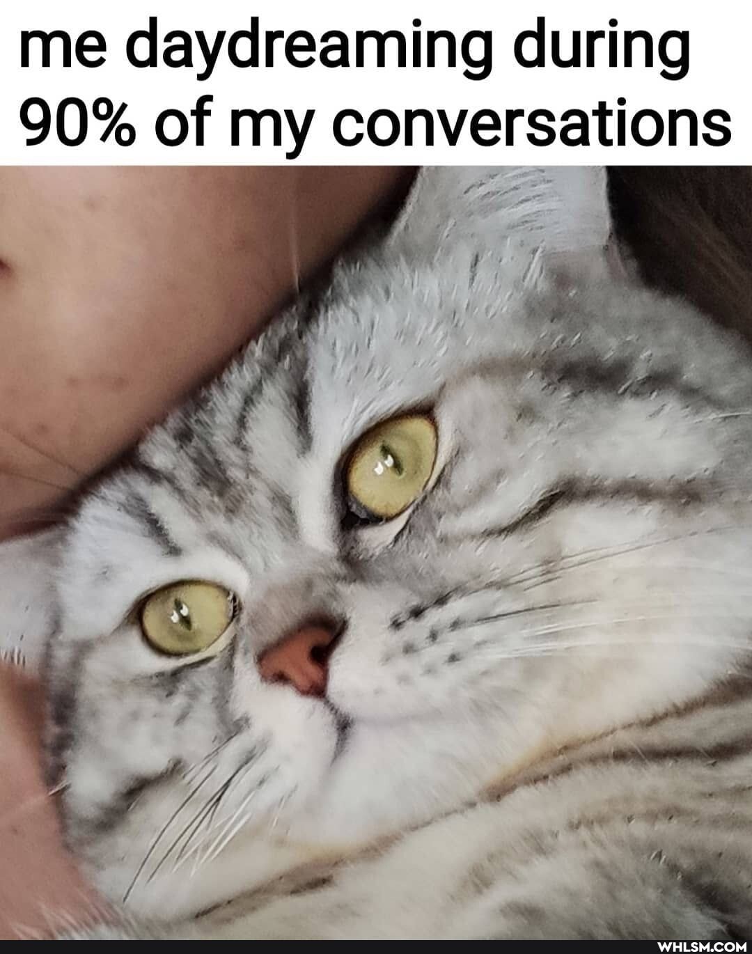 me daydreaming during
90% of my conversations