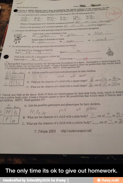 The only time its ok to give out homework. - The only time its ok to give out homework.