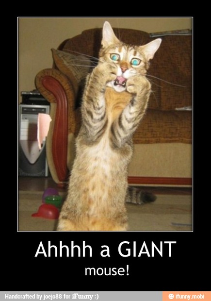 Ahhhh a GIANT
mouse! - Ahhhh a GIANT
mouse!