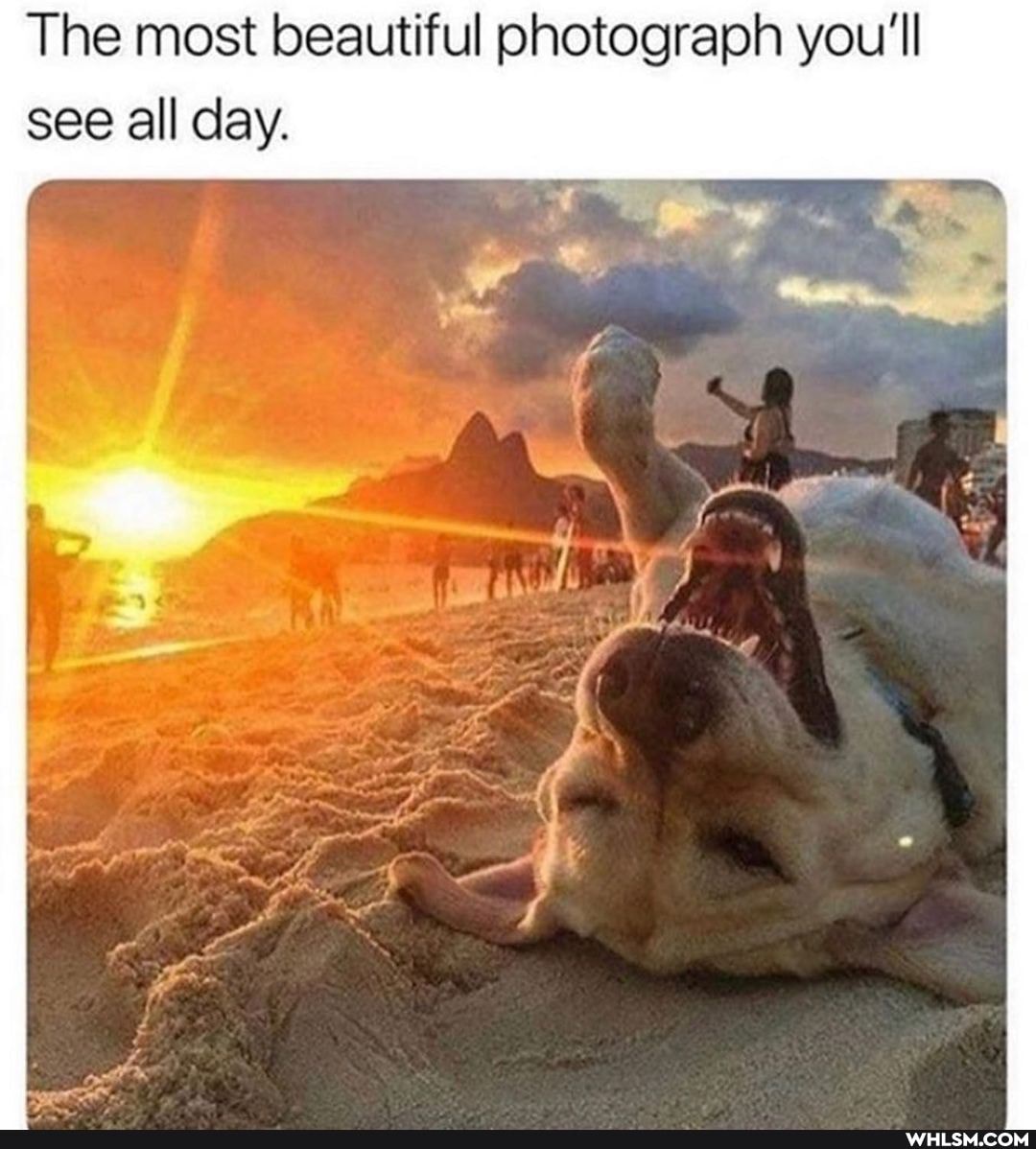 The most beautiful photograph you'll see all day.