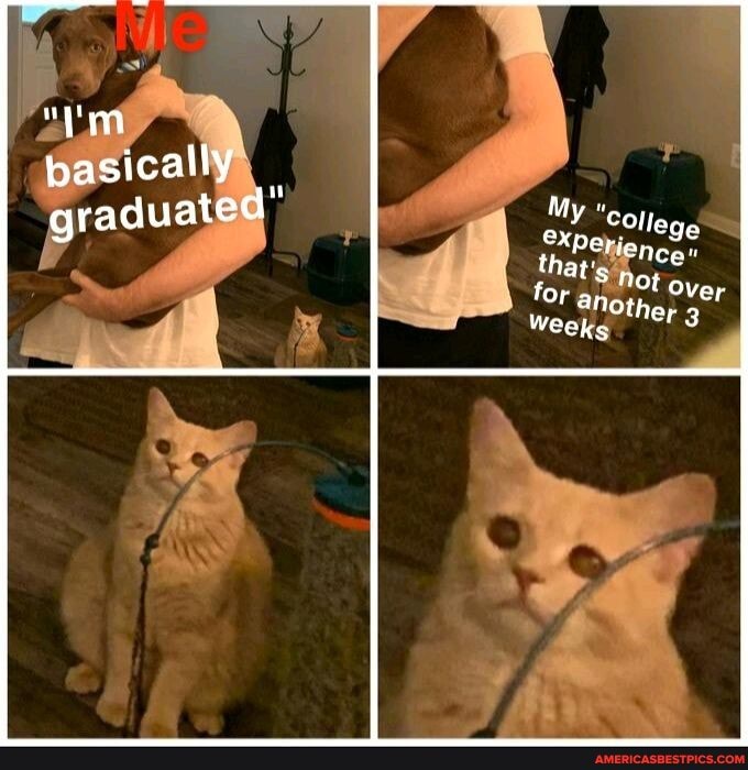 basical
graduate