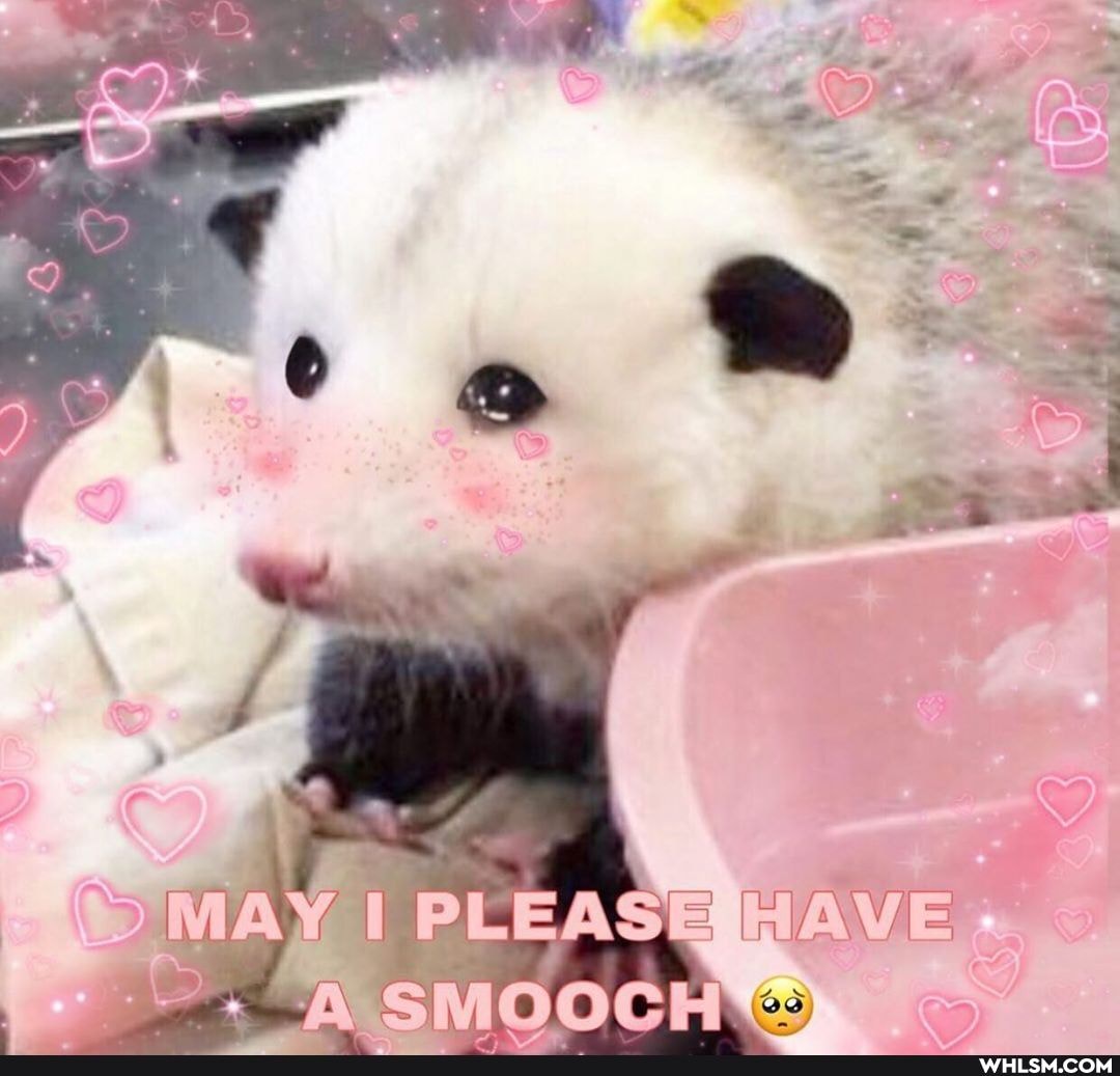 MAY PLEASE HAVE SMOOCE